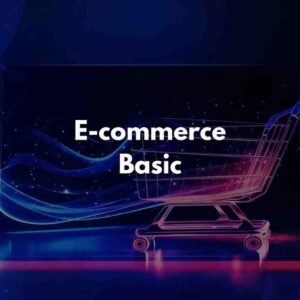 E-Commerce basic plan